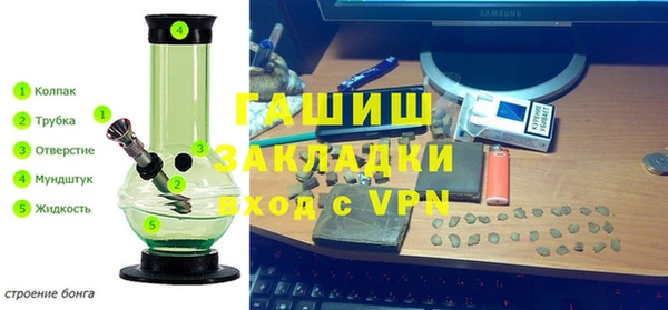 индика Вязьма