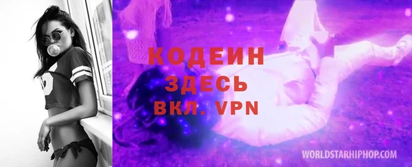 индика Вязьма