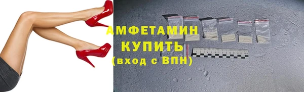индика Вязьма