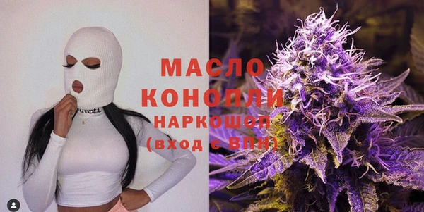 индика Вязьма