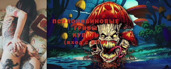 эйфоретик Вяземский