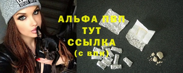PSILOCYBIN Тында