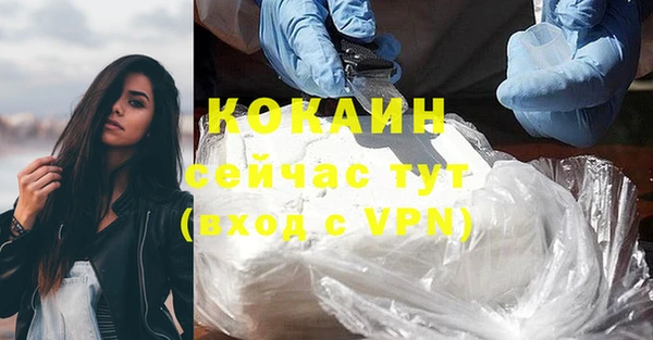 индика Вязьма
