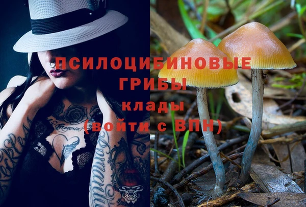 эйфоретик Вяземский
