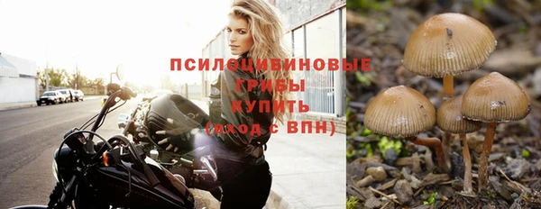 тгк Тутаев