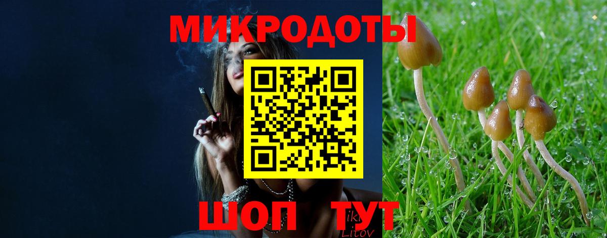 Галлюциногенные грибы MAGIC MUSHROOMS Снежинск