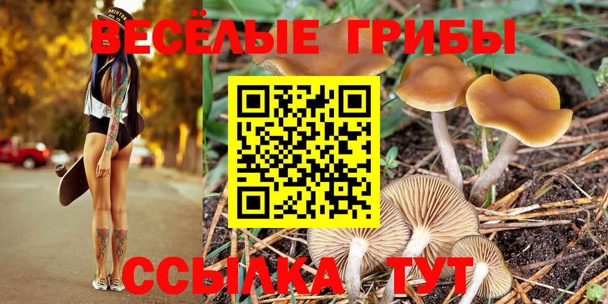 Снежинск  купить наркоту  Вход с VPN  Псилоцибиновые грибы Cubensis 
