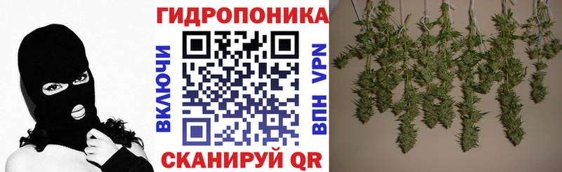 цена наркотик  Снежинск  Конопля план 